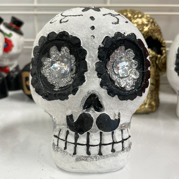 Decorative halloween skull from a dd's discounts