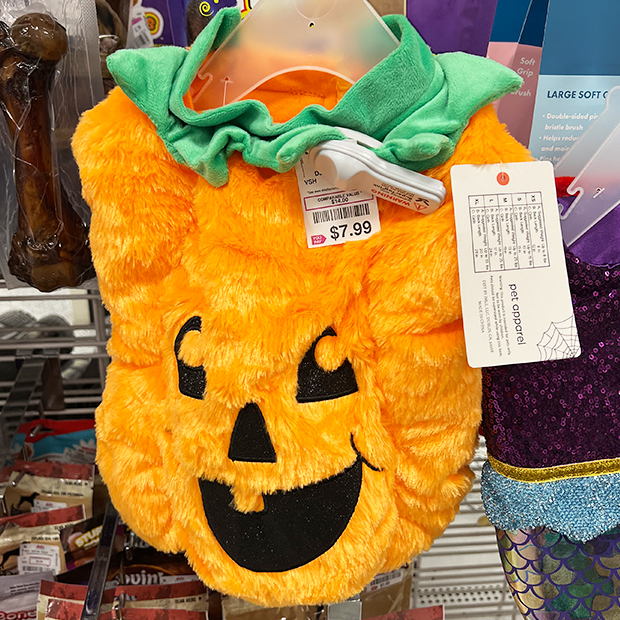 Pumpkin pet costume from a dd's discounts