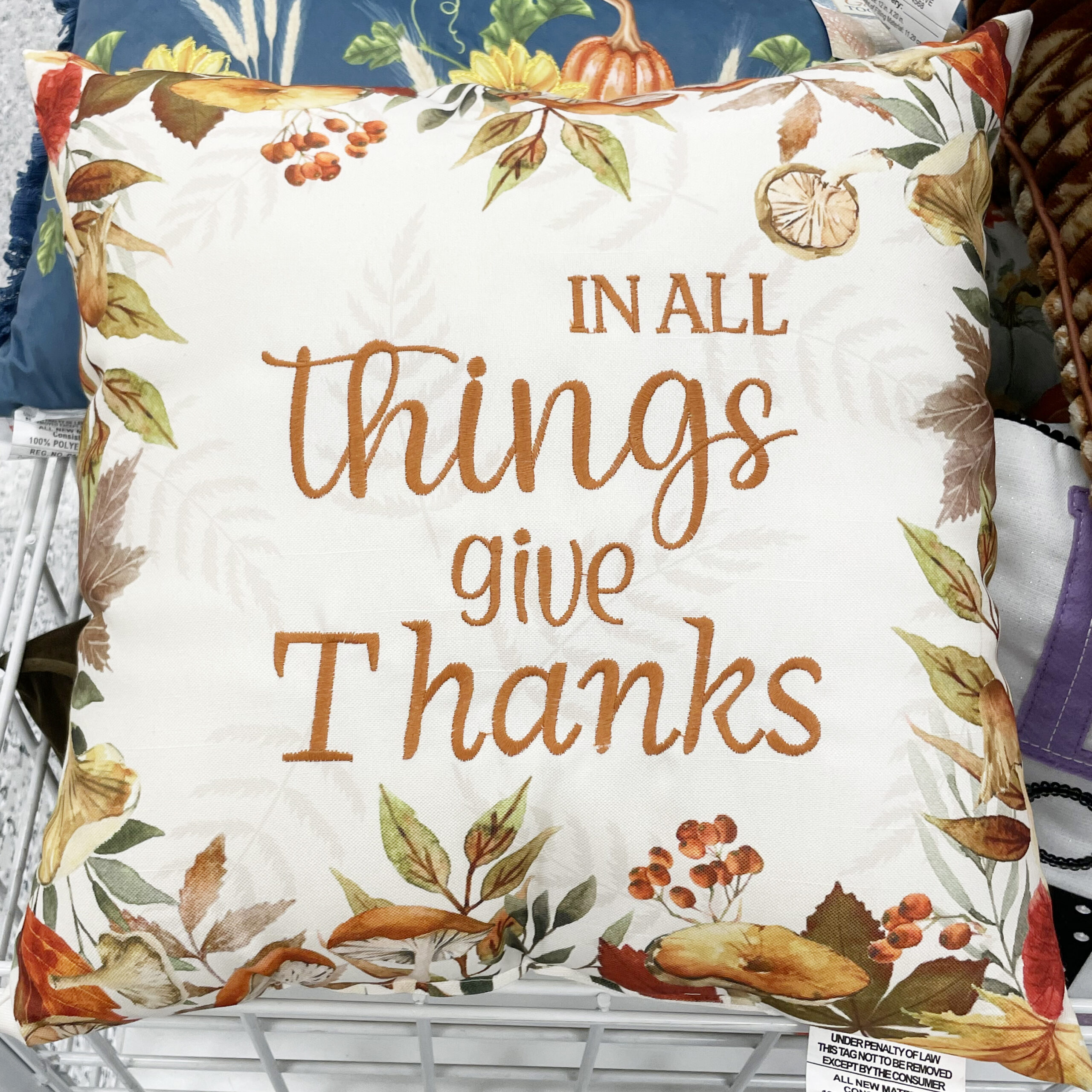 Decorative pillow with fall saying from dd's.